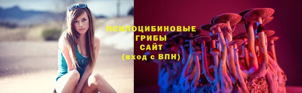 гашиш Аркадак